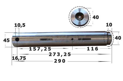 Bolt 45x290