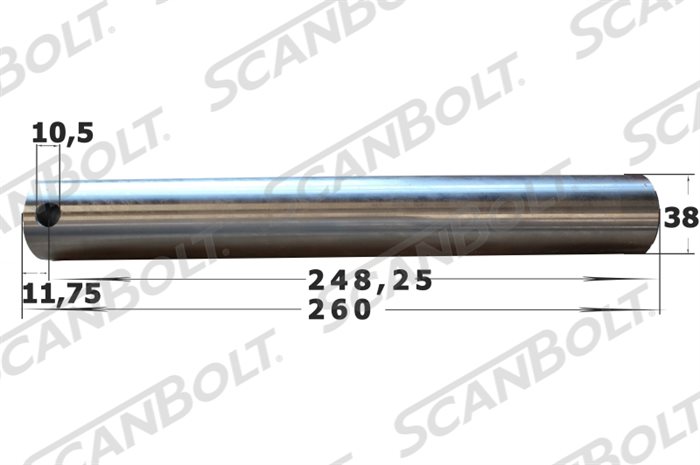 Bolt 38X260